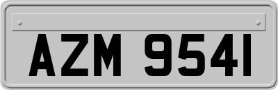 AZM9541