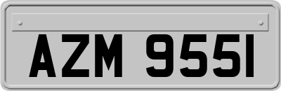 AZM9551