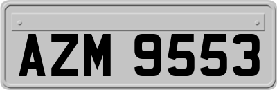AZM9553