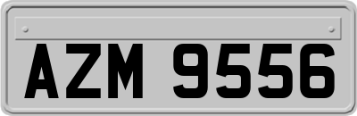 AZM9556
