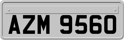 AZM9560