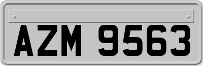 AZM9563