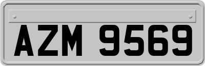 AZM9569