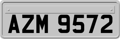 AZM9572