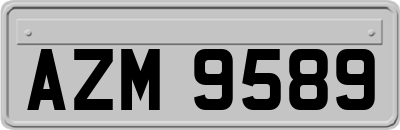 AZM9589