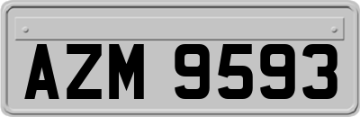 AZM9593