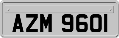 AZM9601