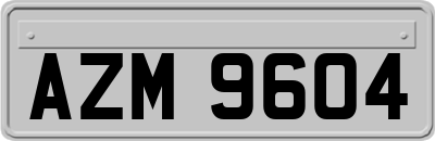 AZM9604