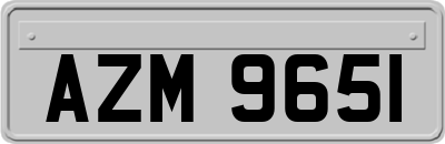 AZM9651