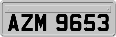 AZM9653