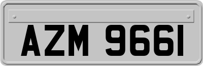 AZM9661