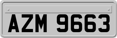 AZM9663