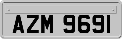 AZM9691