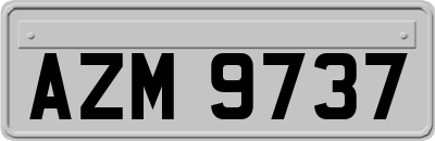 AZM9737