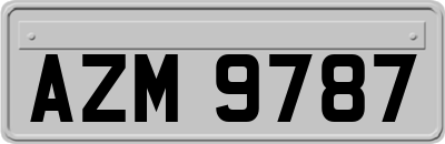 AZM9787