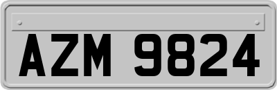 AZM9824