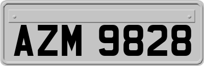 AZM9828