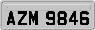 AZM9846
