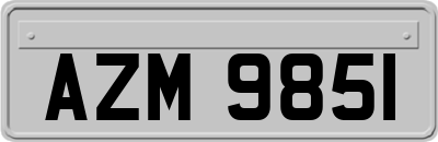AZM9851