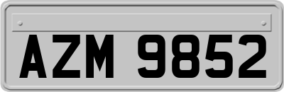 AZM9852