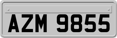 AZM9855