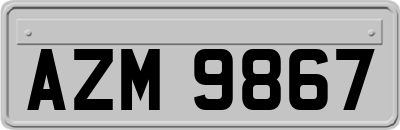 AZM9867