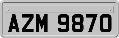 AZM9870