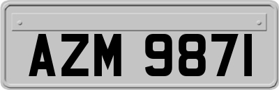 AZM9871