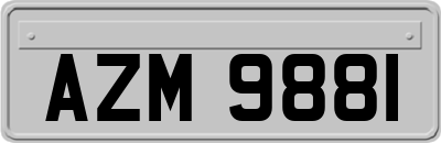 AZM9881