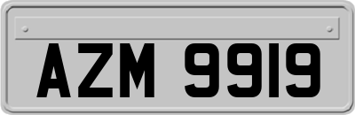 AZM9919