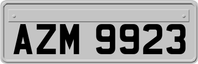 AZM9923