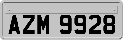 AZM9928
