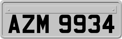 AZM9934