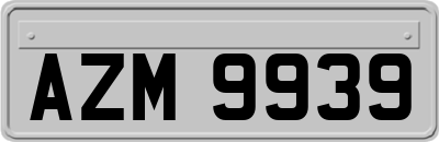 AZM9939