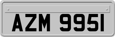 AZM9951