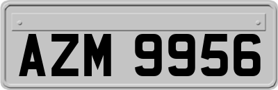AZM9956