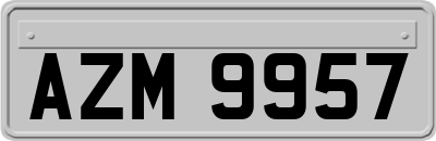 AZM9957