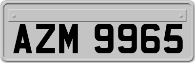 AZM9965