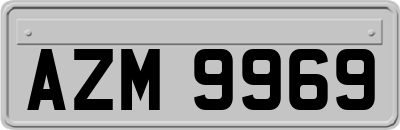 AZM9969