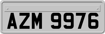 AZM9976