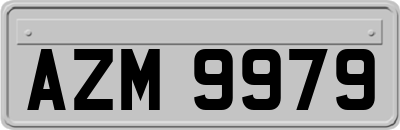 AZM9979