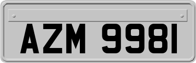 AZM9981