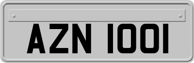 AZN1001