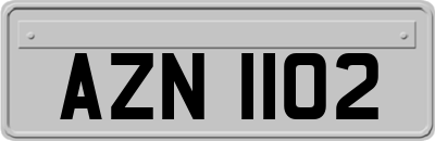 AZN1102