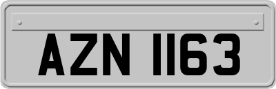 AZN1163