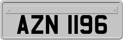 AZN1196