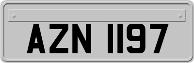 AZN1197