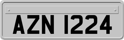 AZN1224