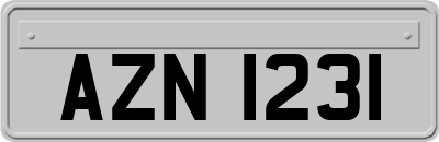 AZN1231