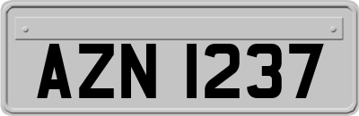 AZN1237